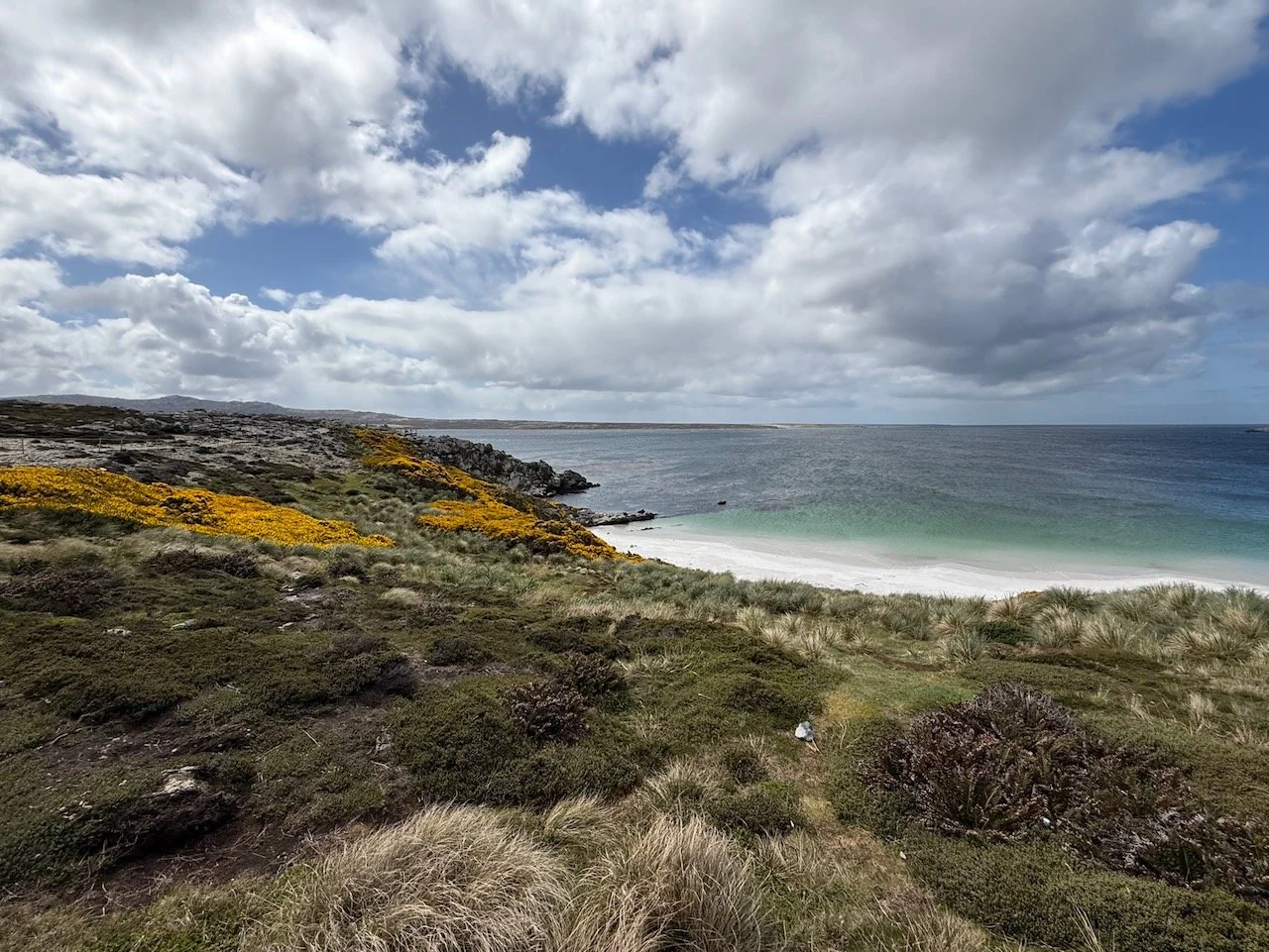 BT Falklands - 1.jpeg