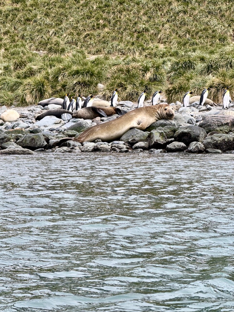 Royal Bay Kayaking iPhone - 35.jpeg