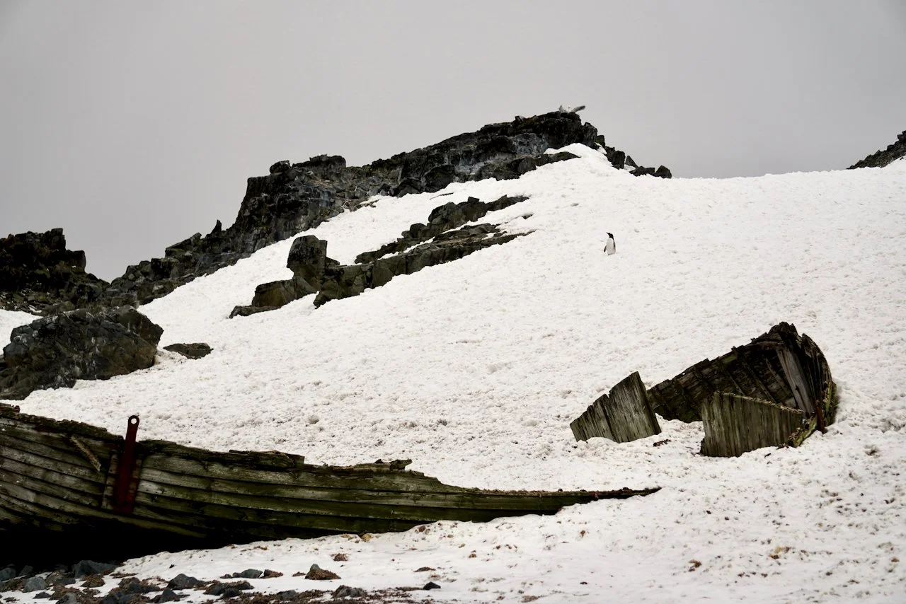 Half Moon Bay Antarctica - 97.jpeg