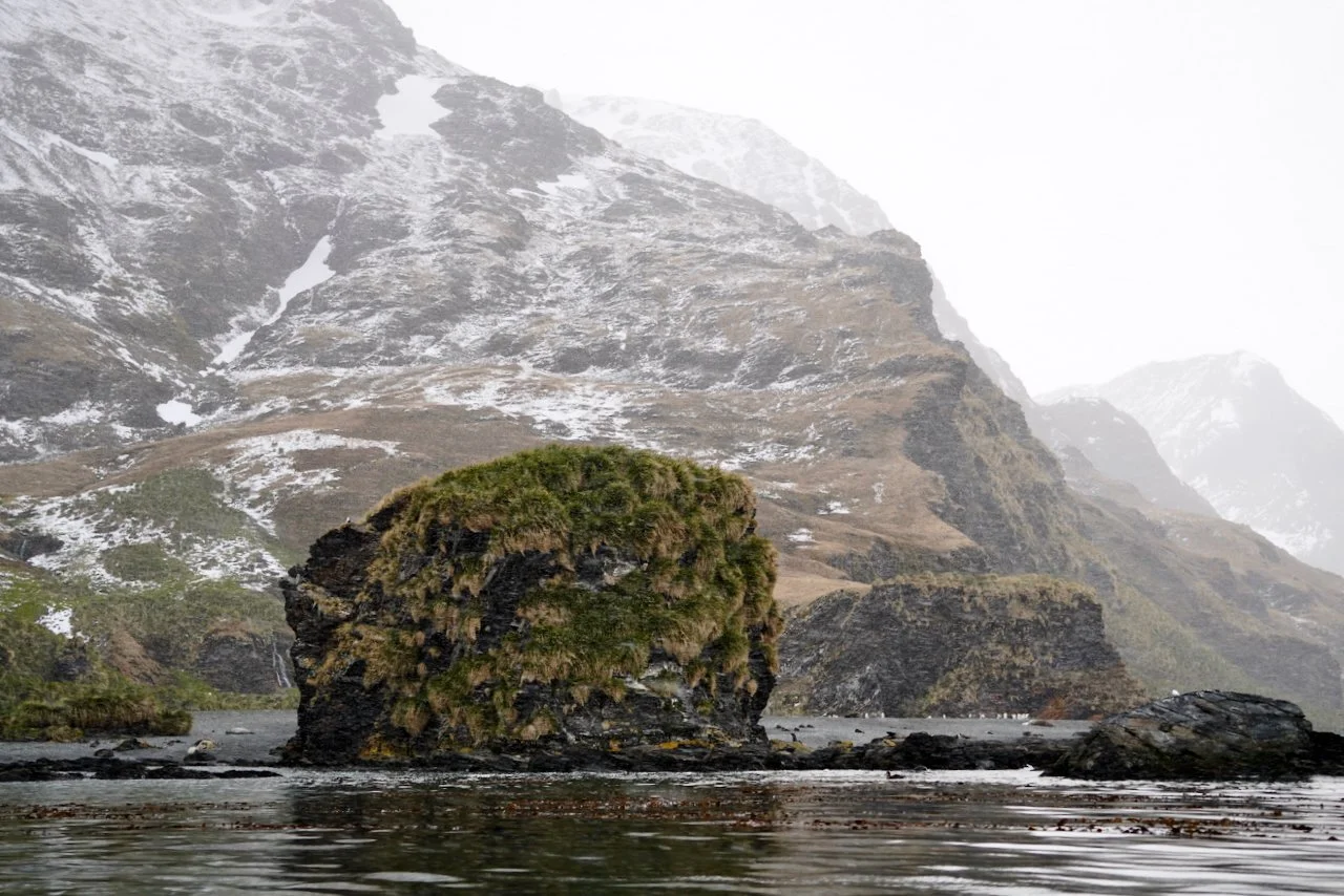 Fortuna Bay South Georgia - 41.jpeg