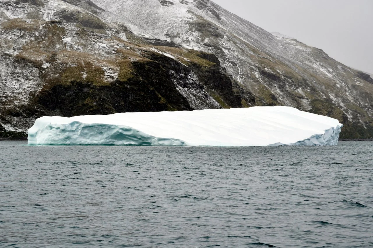 Fortuna Bay South Georgia - 15.jpeg