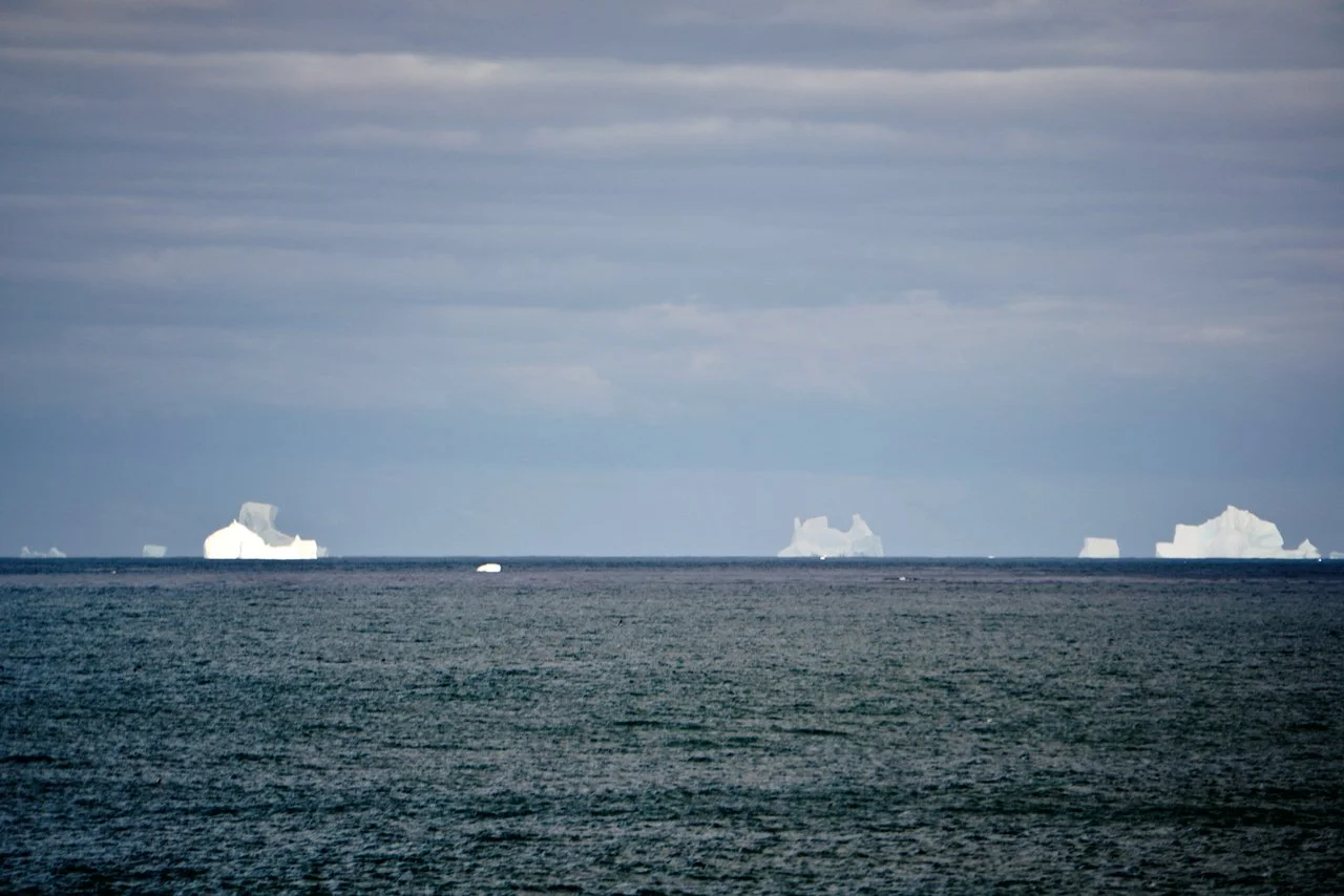 Grytviken South Georgia Scenery - 19.jpeg