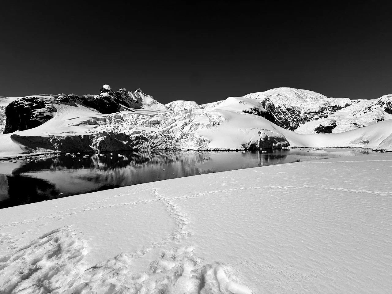 Brown Station Paradise Harbour R2 - 17.jpeg