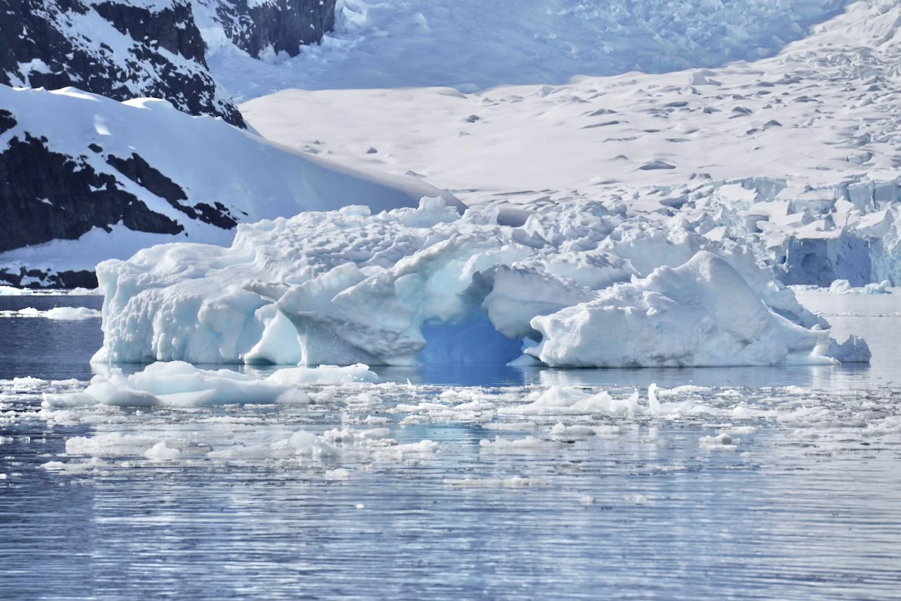 Brown Station Paradise Harbour - 12.jpeg