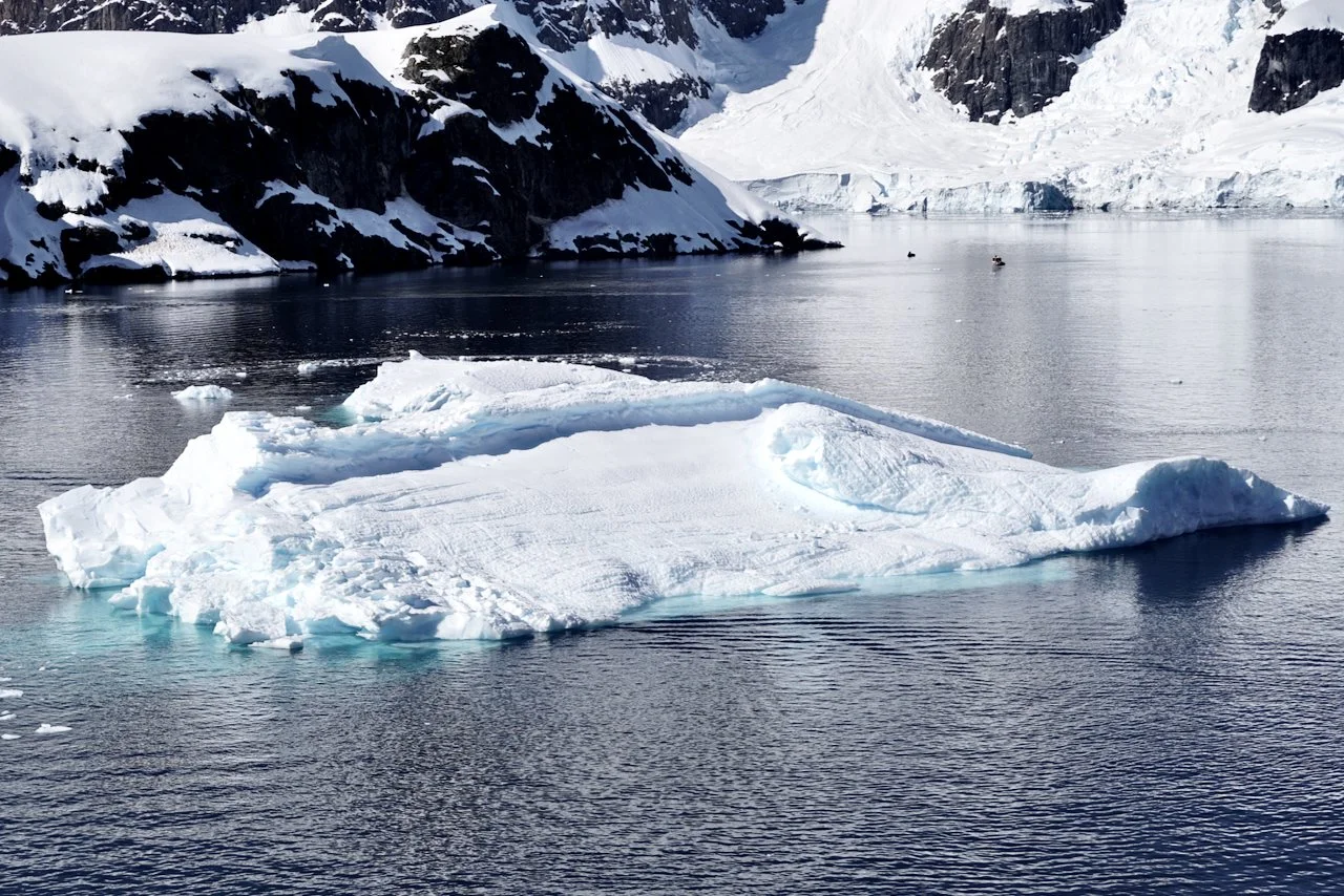 Brown Station Paradise Harbour - 28.jpeg