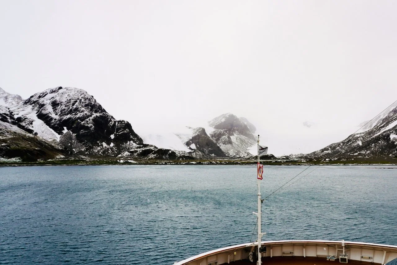 Fortuna Bay South Georgia - 26.jpeg