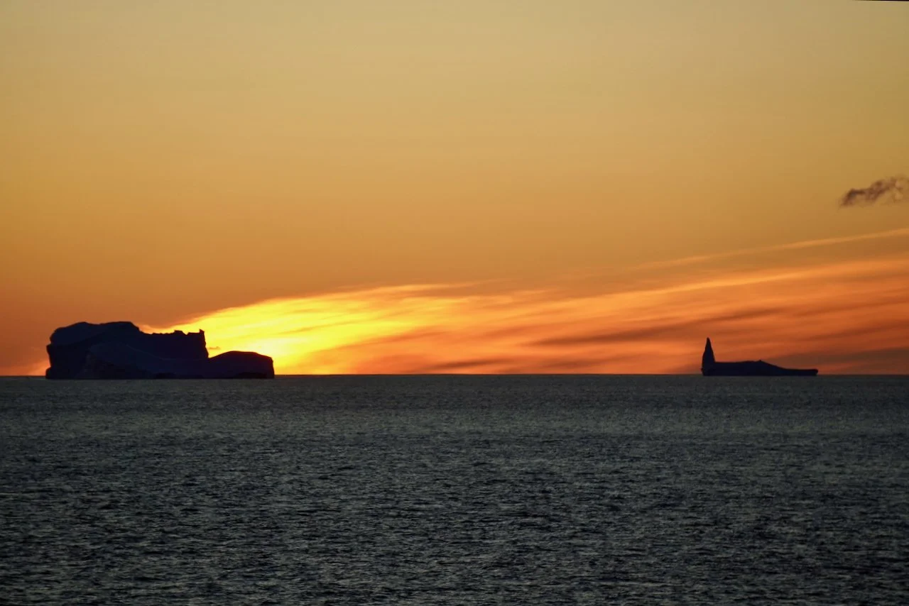 Elephant Island Sea Ice Humpback + Fin Whales - 195.jpeg