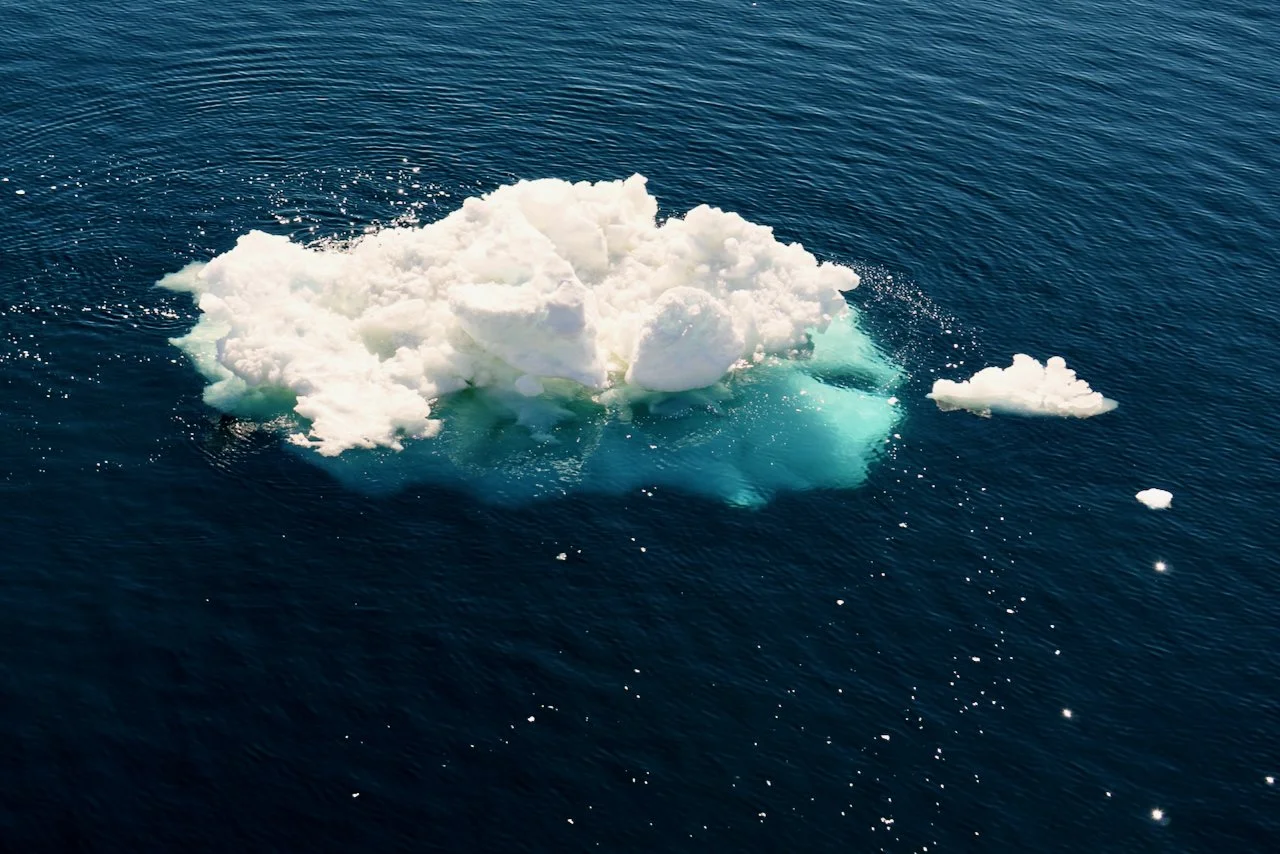 Elephant Island Sea Ice Humpback + Fin Whales - 33.jpeg