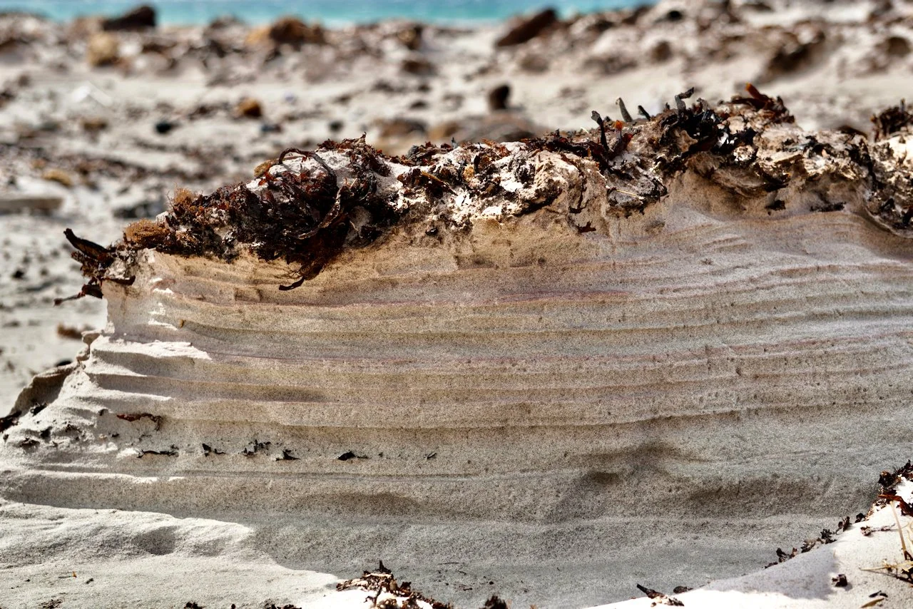 Falklands - 124.jpeg