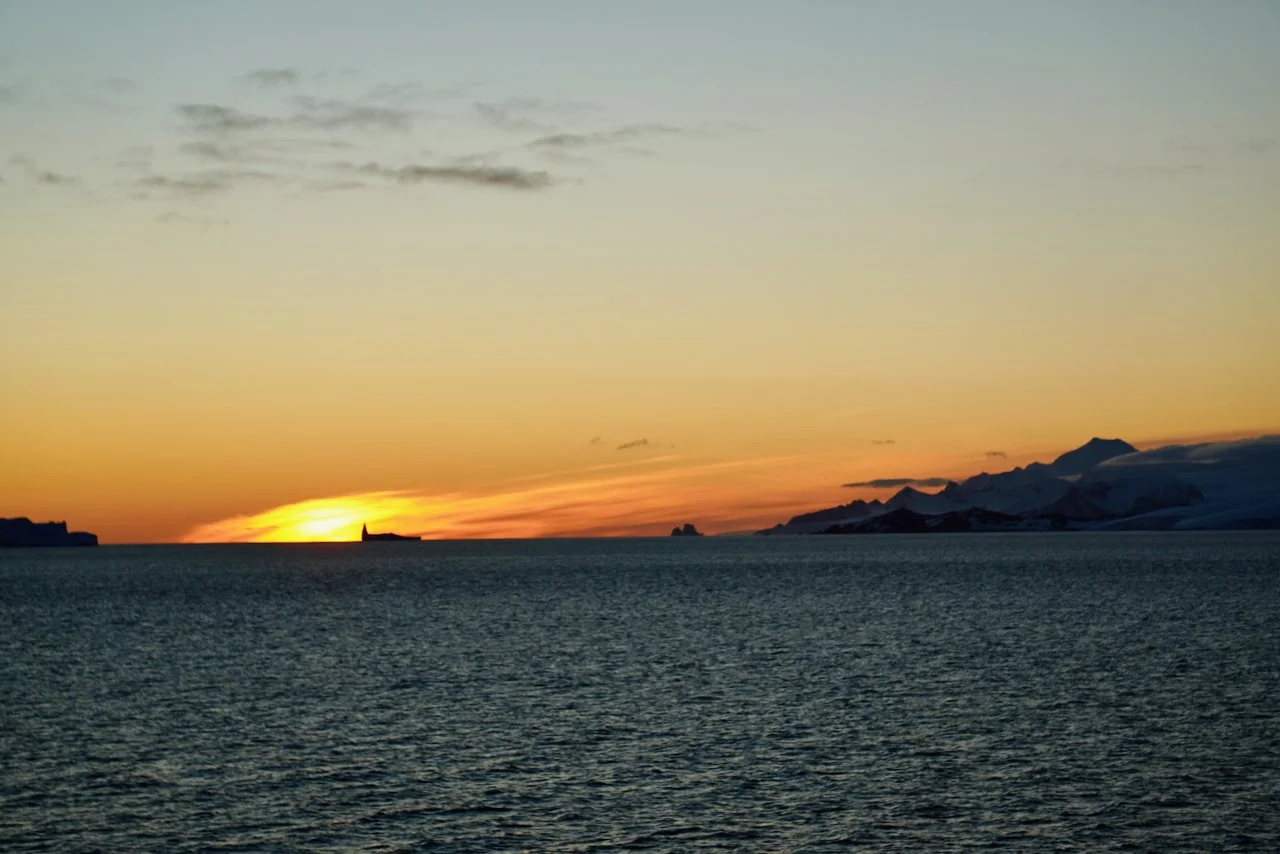 Elephant Island Sea Ice Humpback + Fin Whales - 191.jpeg