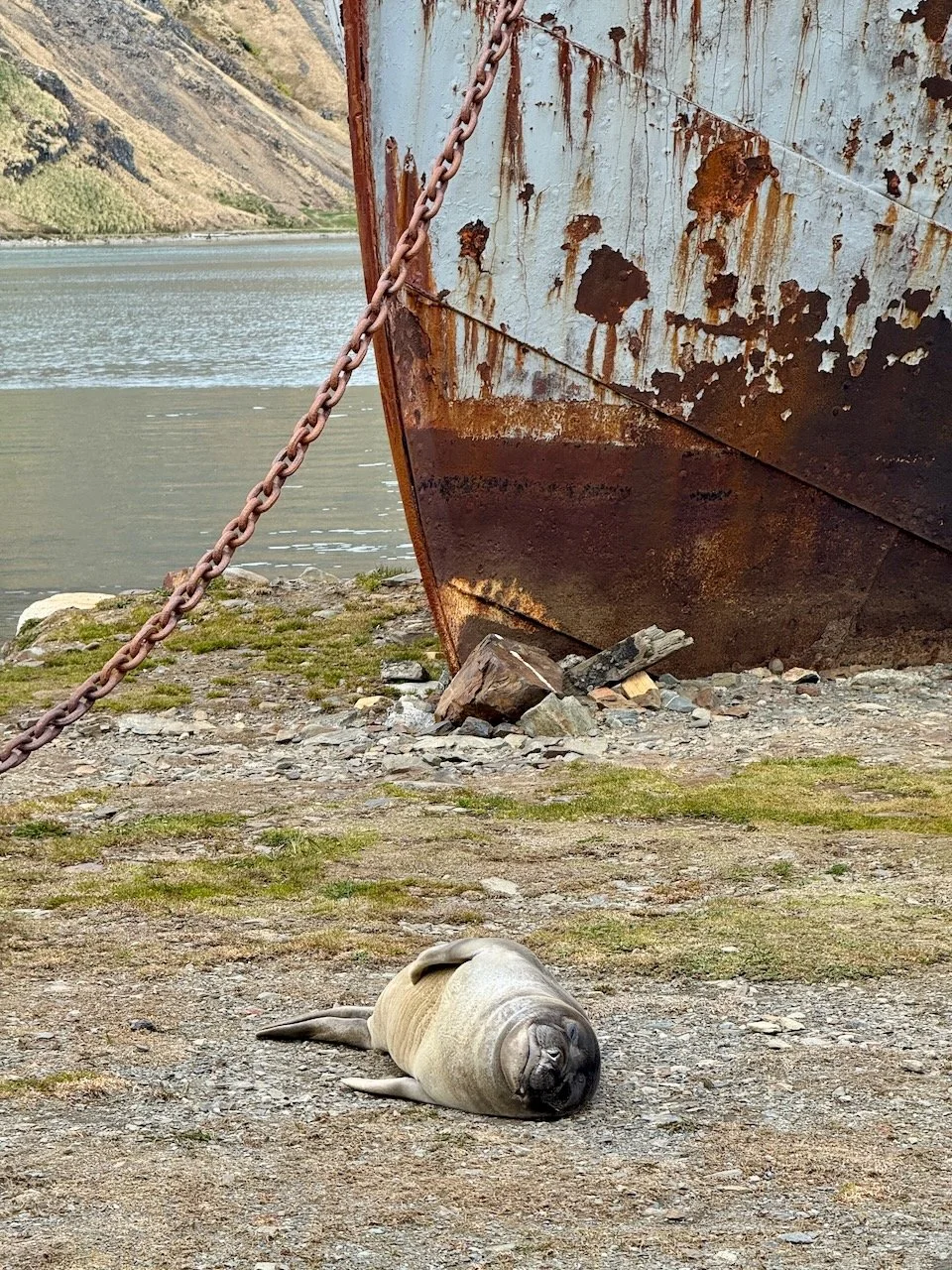 BT GRYTVIKEN - 1.jpeg