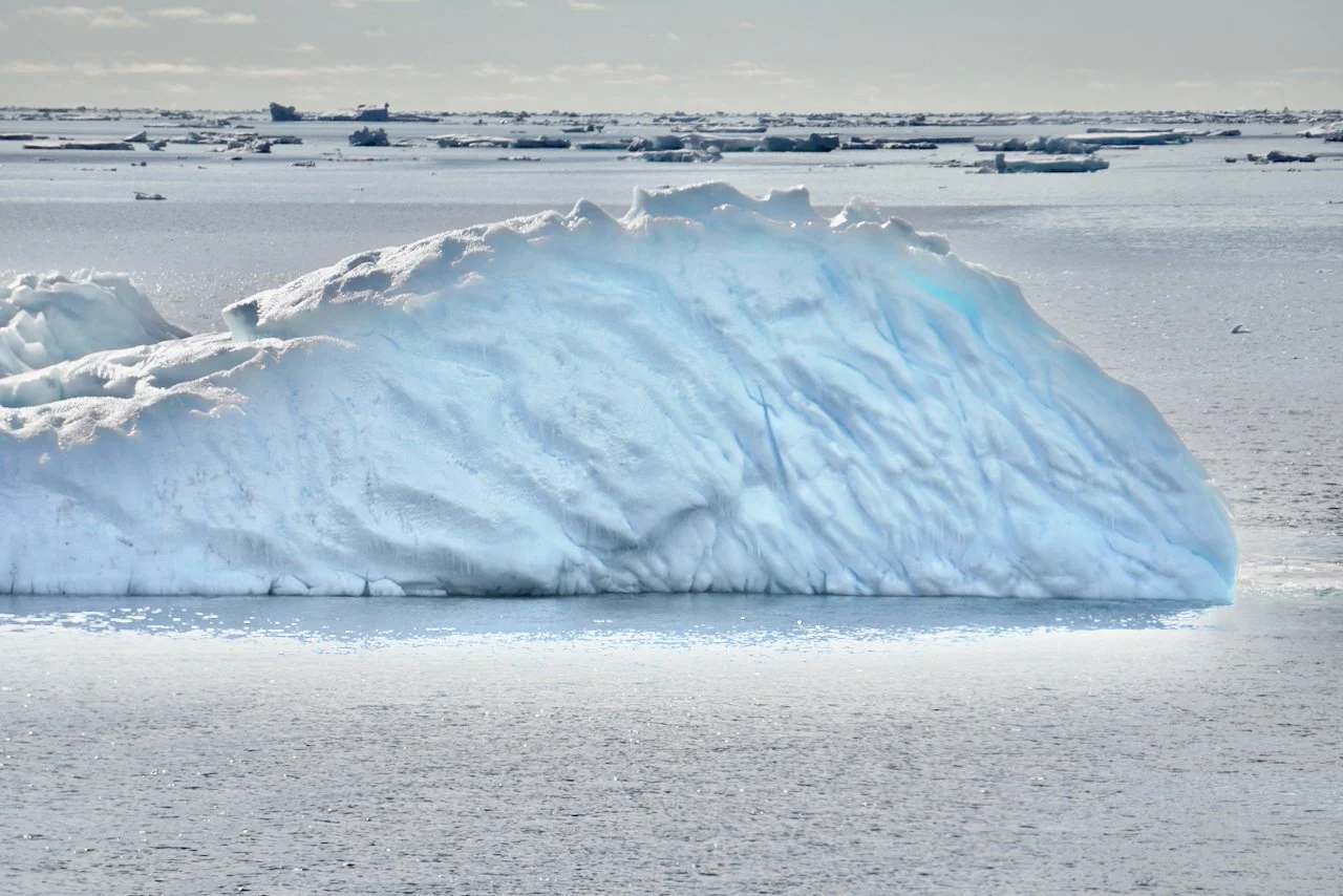 Elephant Island Sea Ice Humpback + Fin Whales - 29.jpeg