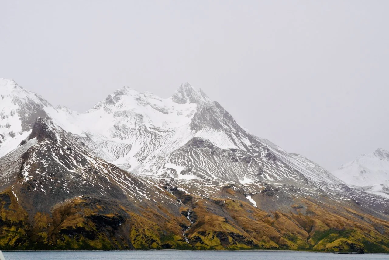 Fortuna Bay South Georgia - 24.jpeg