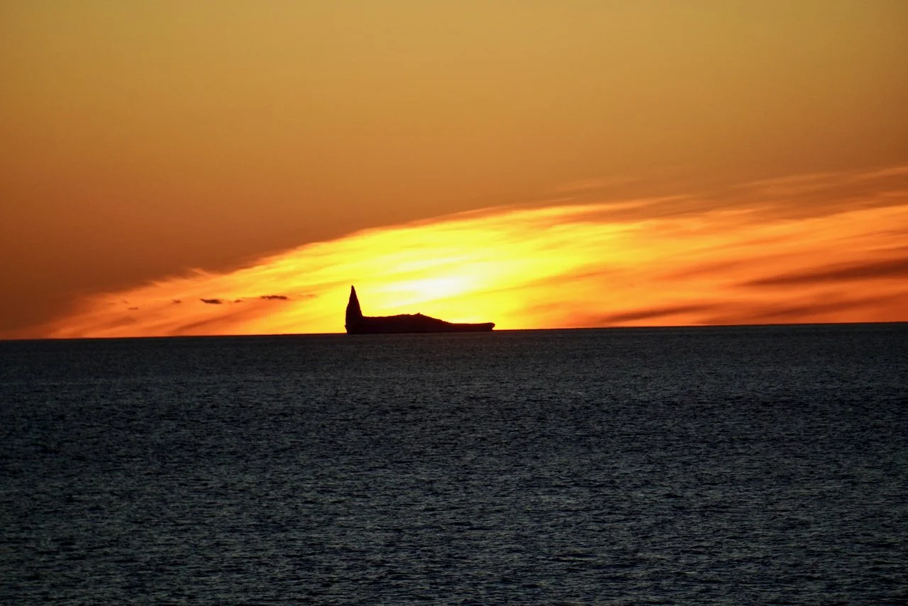 Elephant Island Sea Ice Humpback + Fin Whales - 188.jpeg