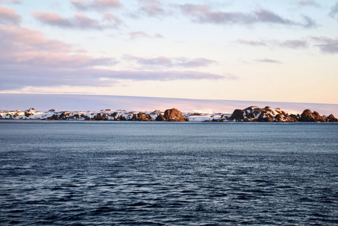 Elephant Island Sea Ice Humpback + Fin Whales - 175.jpeg