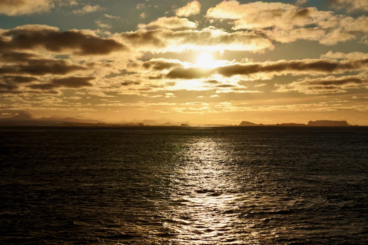 Elephant Island Sea Ice Humpback + Fin Whales - 174.jpeg