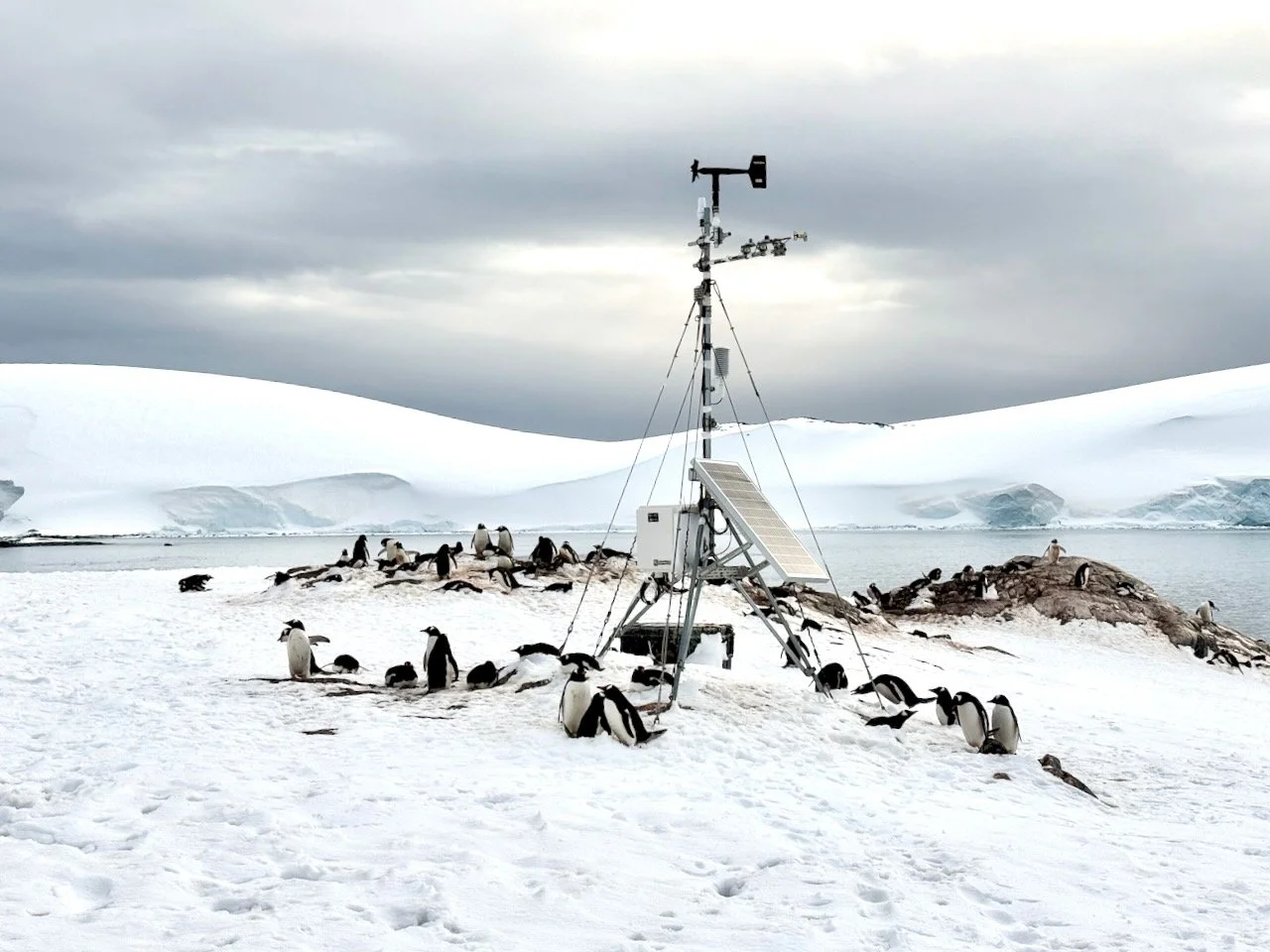 D’Hainaut Island - BT - 3.jpeg