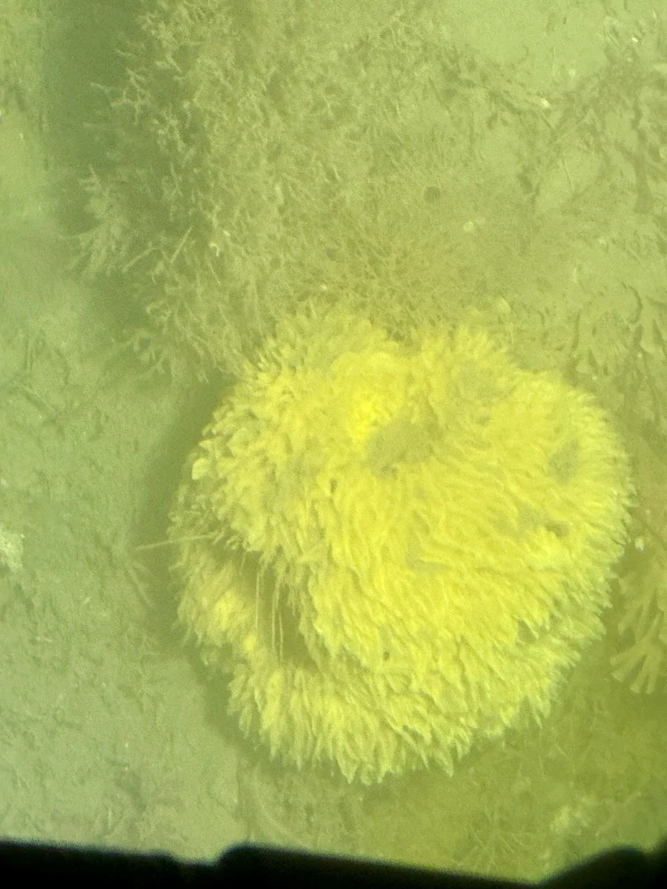 BT HALF MOON BAY - SUB - 2.jpeg