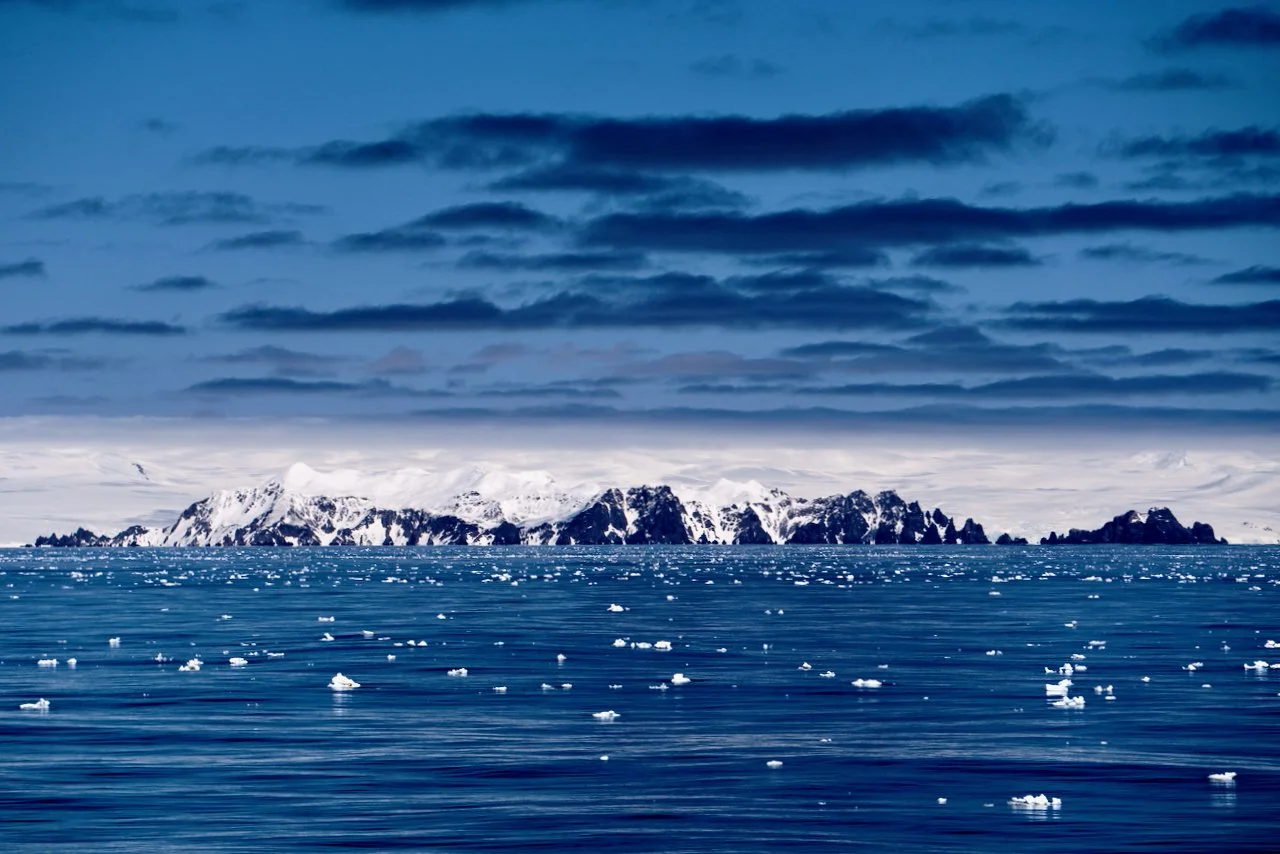 Elephant Island Sea Ice Humpback + Fin Whales - 44.jpeg