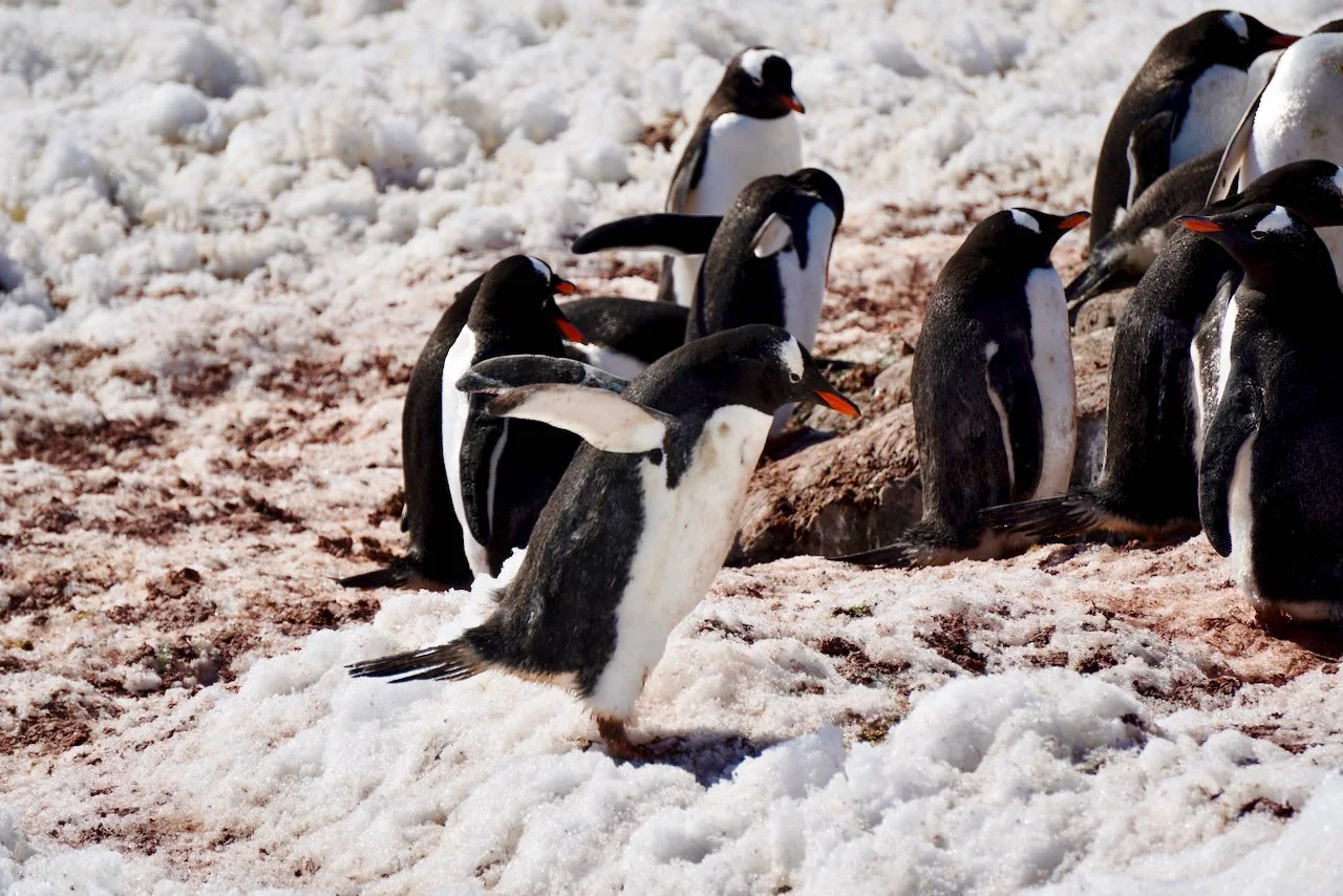 Brown Station Paradise Harbour - 56.jpeg