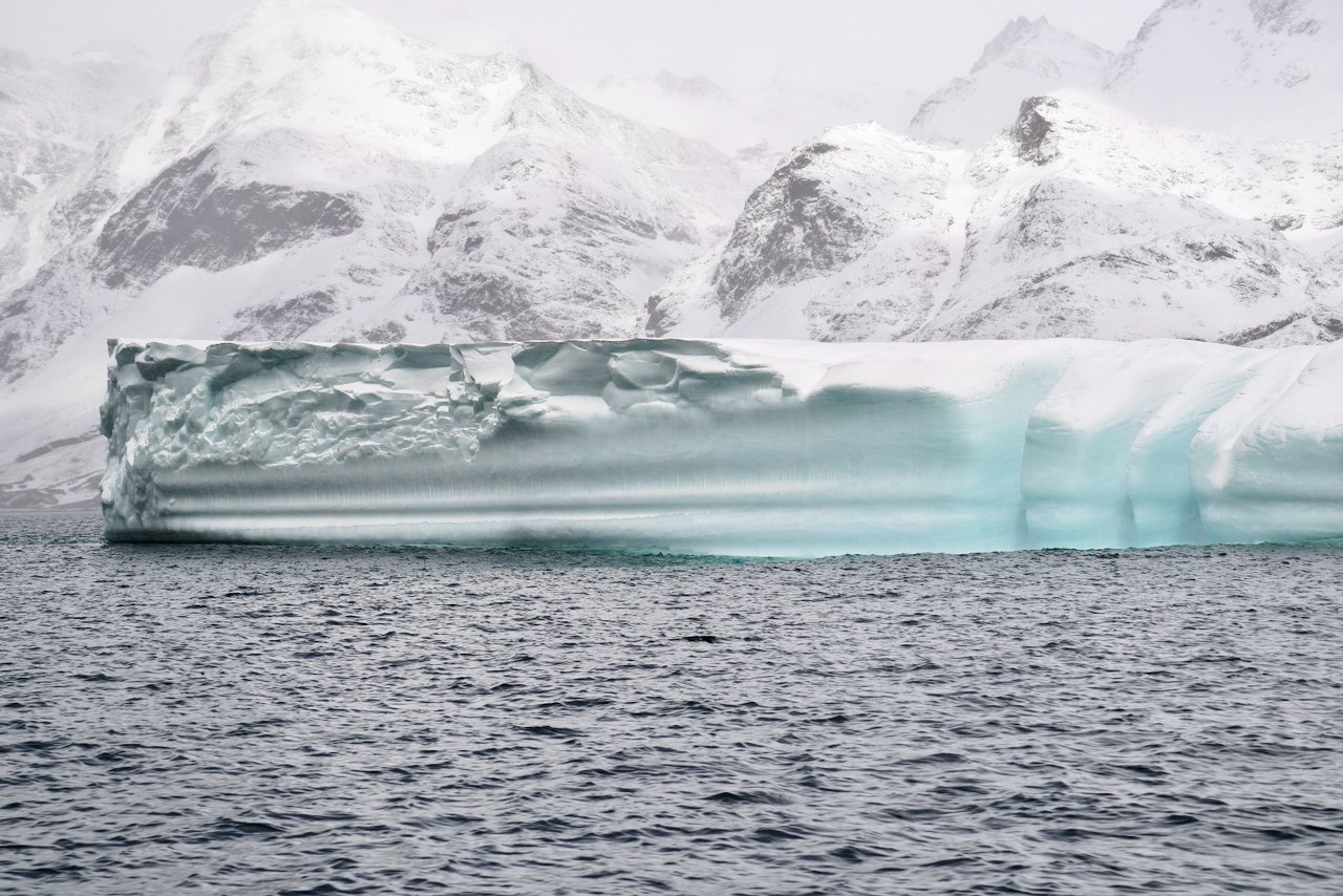 Fortuna Bay South Georgia - 22.jpeg