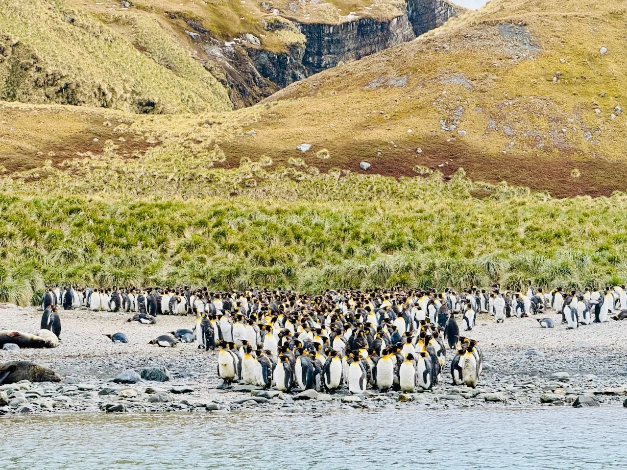 Royal Bay Kayaking iPhone - 30.jpeg