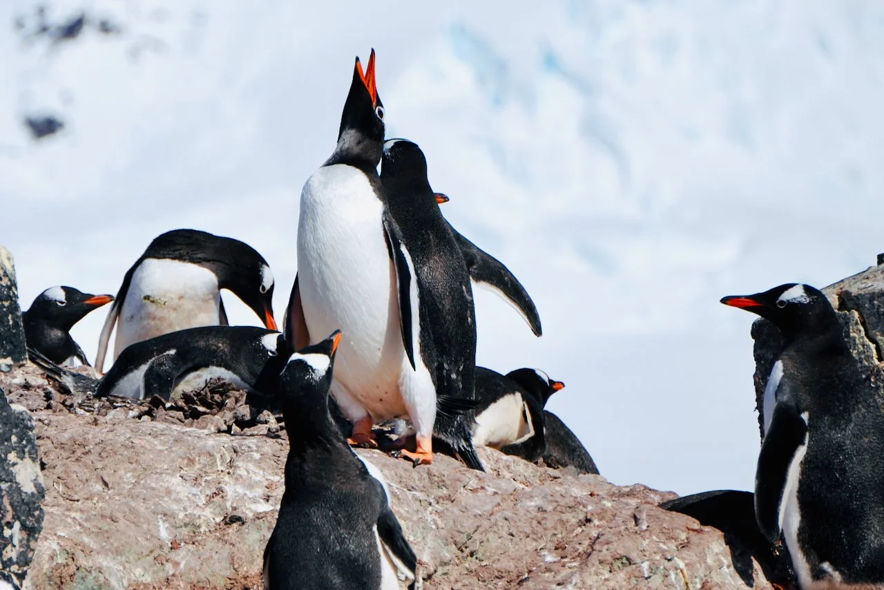 Brown Station Paradise Harbour - 54.jpeg