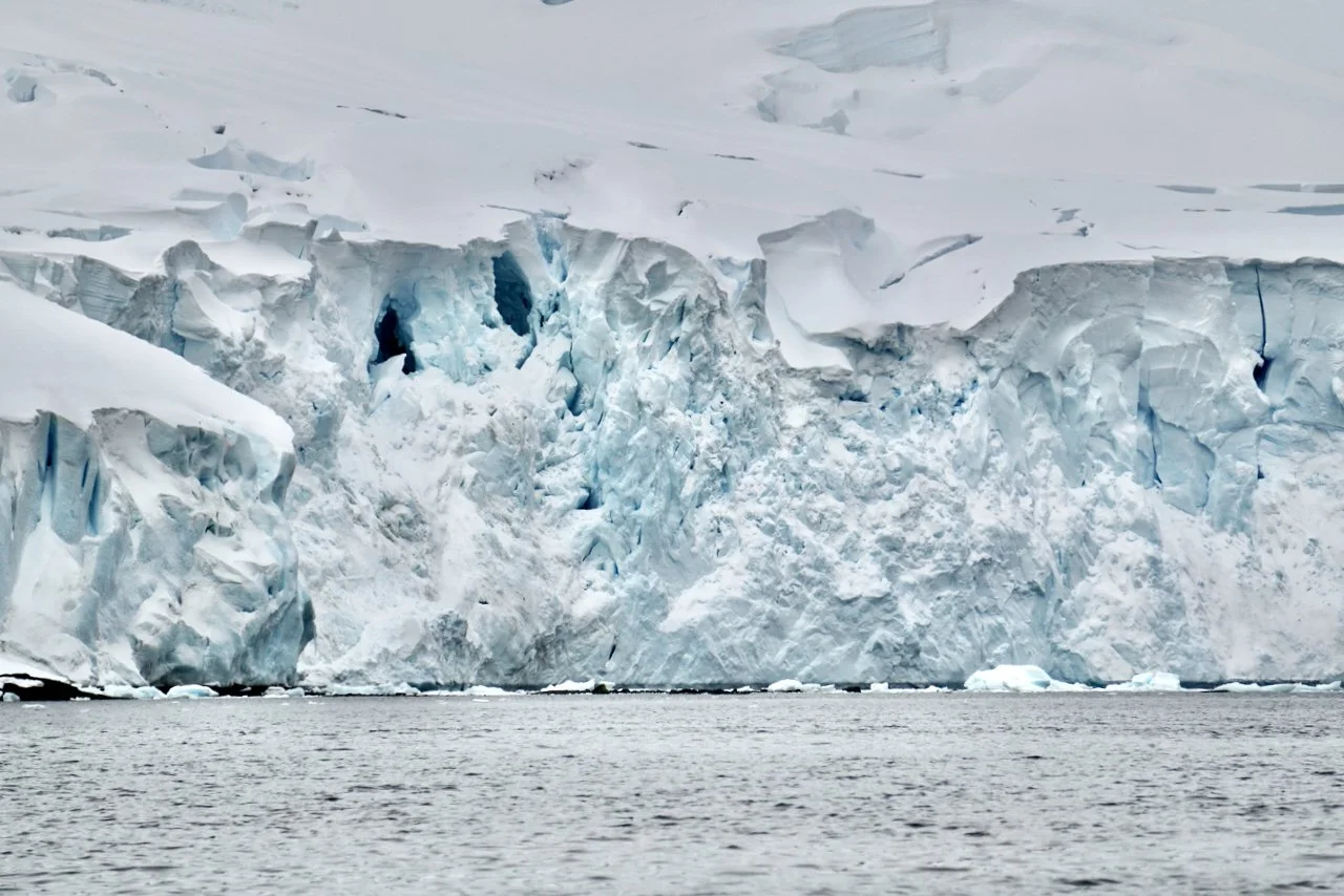 DHainaut Island Mikkelson Harbour - 118.jpeg