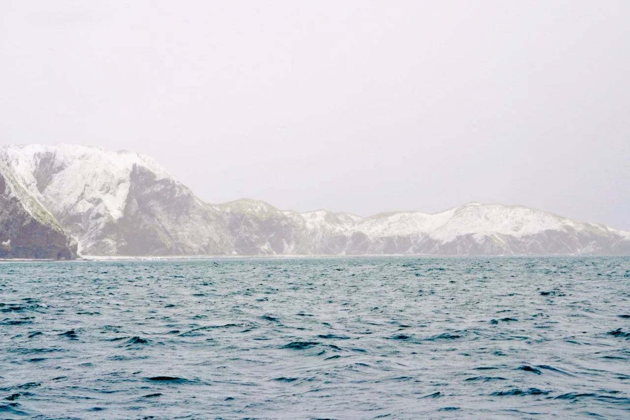 Fortuna Bay South Georgia - 13.jpeg