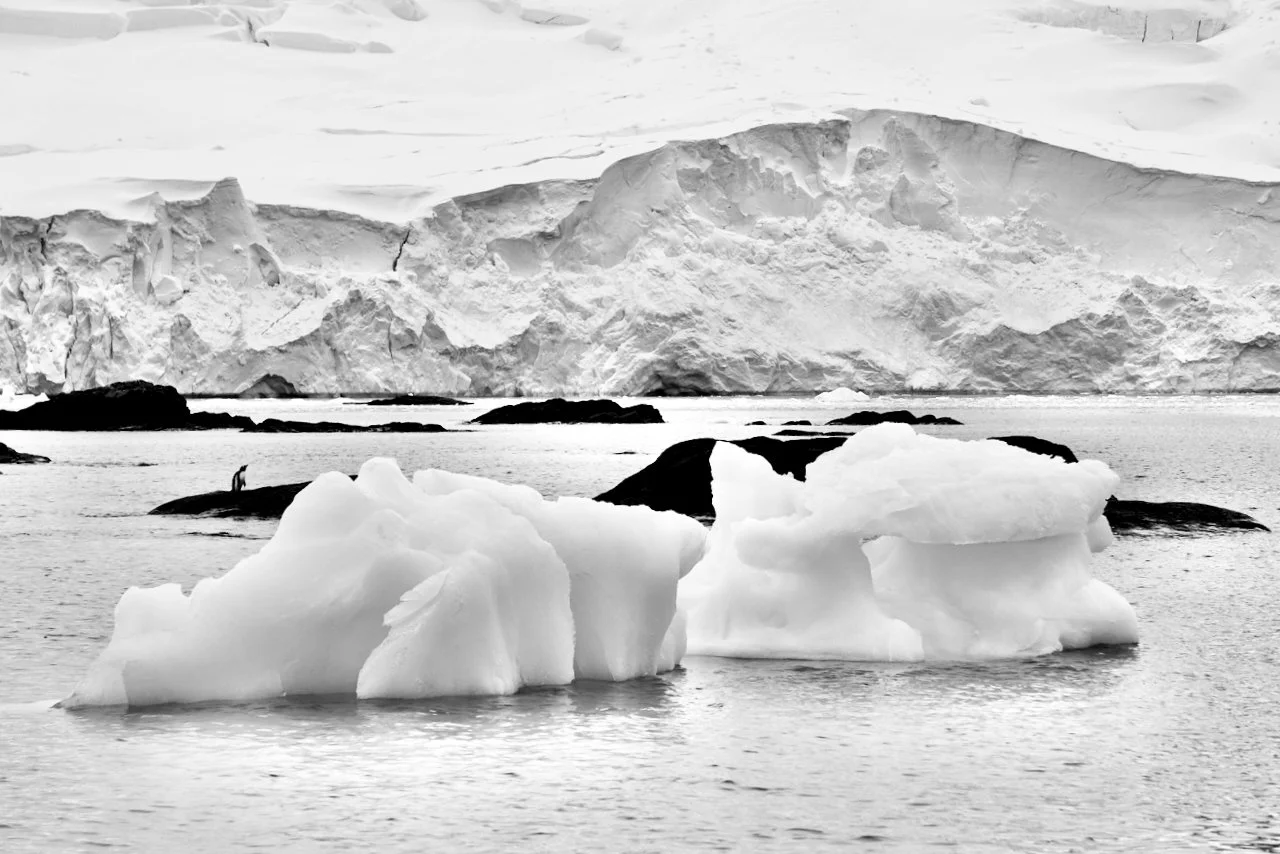 DHainaut Island Mikkelson Harbour - 85.jpeg