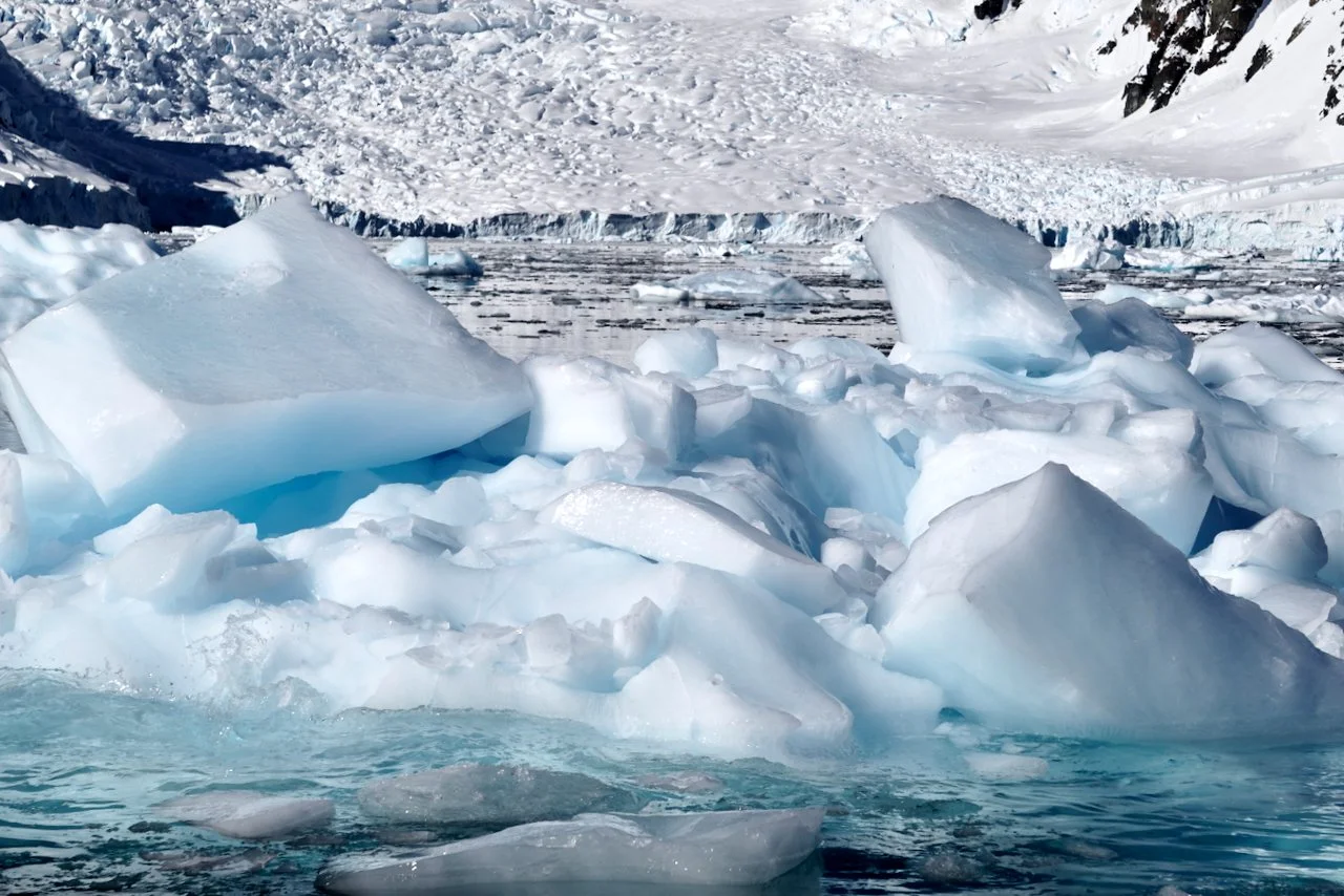 Brown Station Paradise Harbour - 1.jpeg