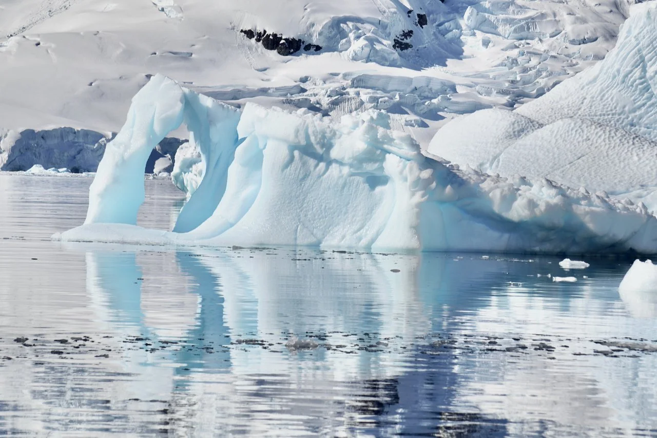 Brown Station Paradise Harbour - 14.jpeg