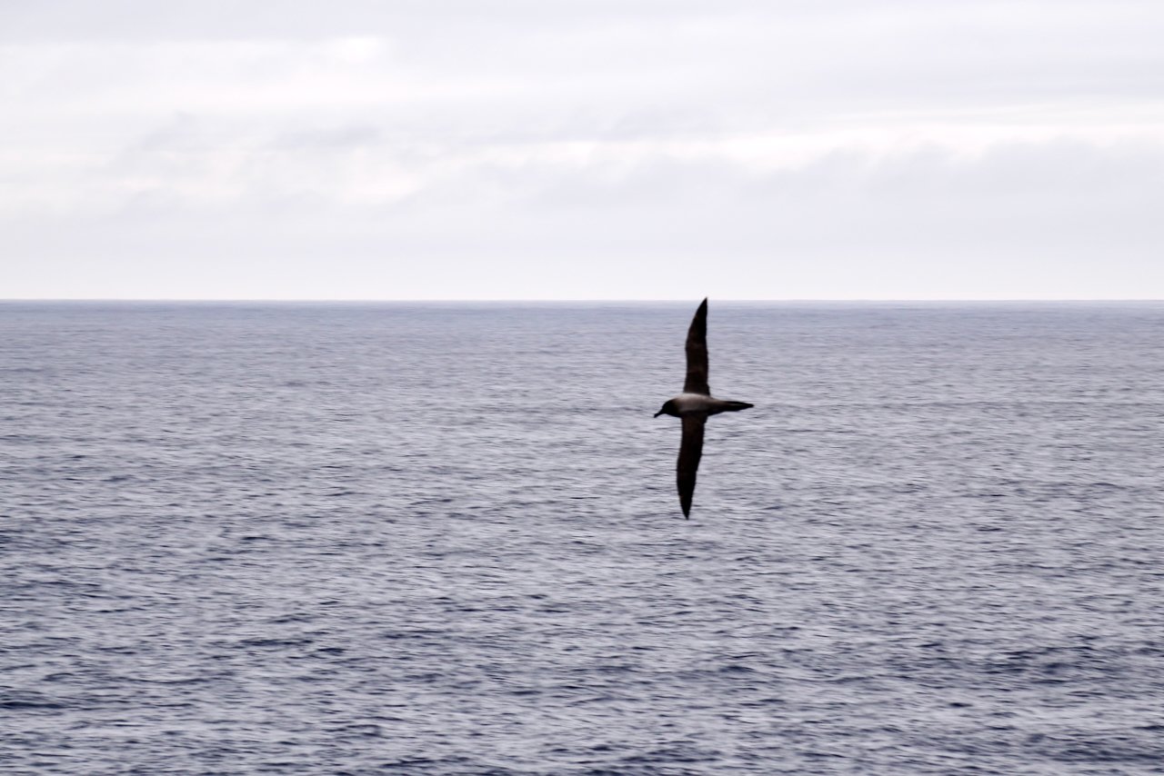 Brown Station Paradise Harbour - 76.jpeg