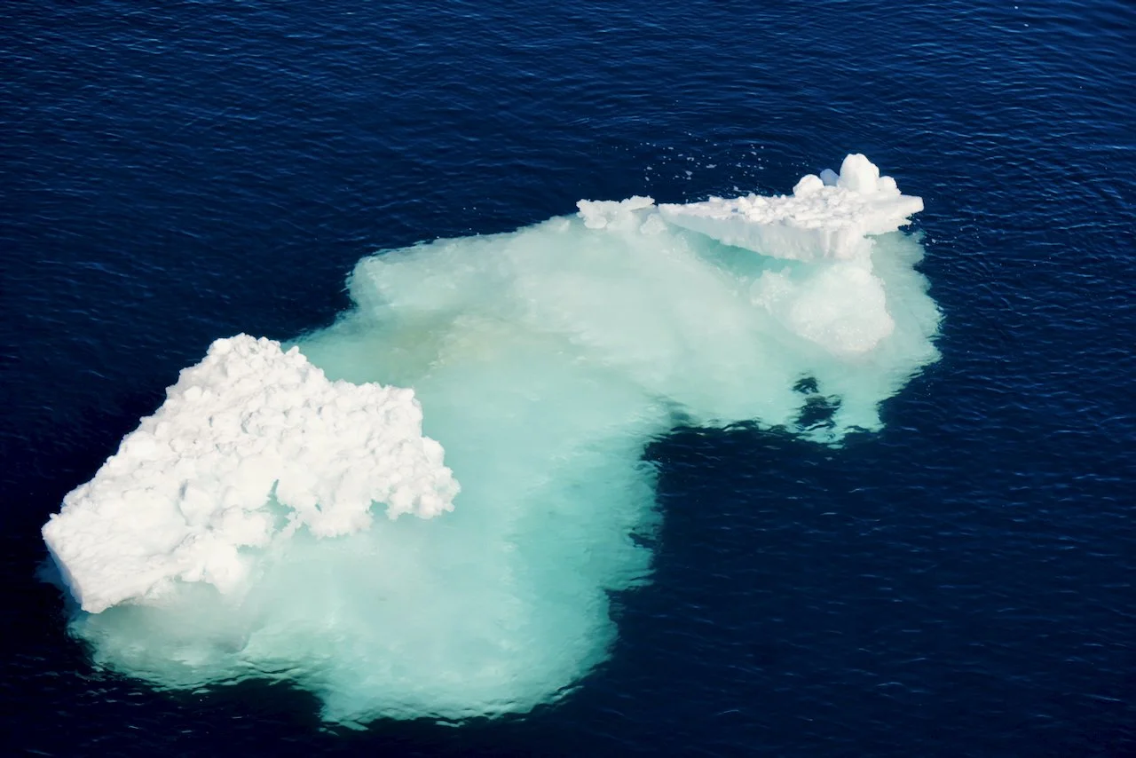 Elephant Island Sea Ice Humpback + Fin Whales - 38.jpeg