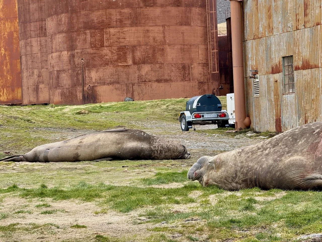BT GRYTVIKEN - 3.jpeg