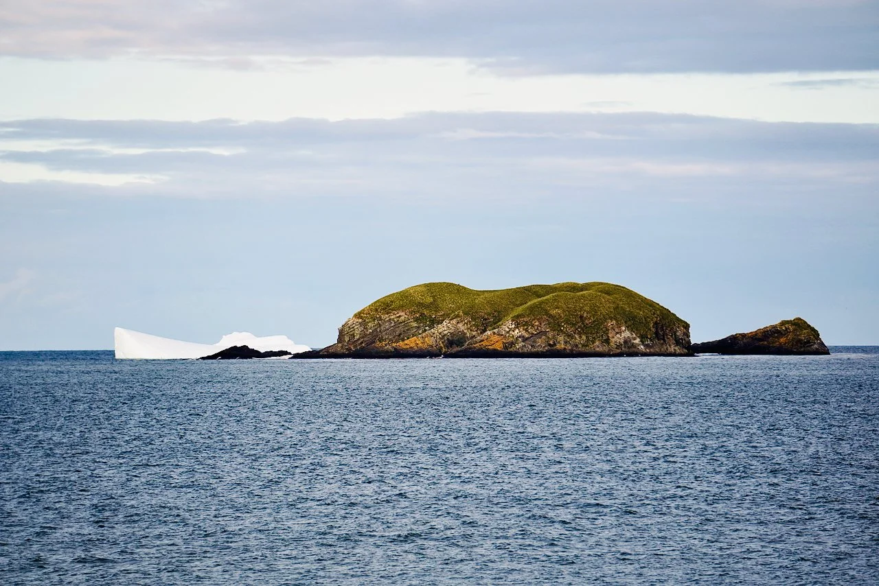 Grytviken South Georgia Scenery - 18.jpeg