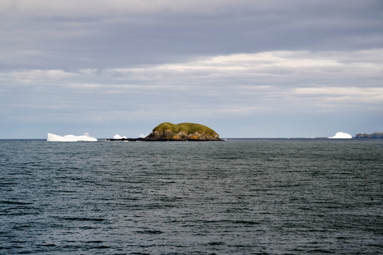 Grytviken South Georgia Scenery - 23.jpeg
