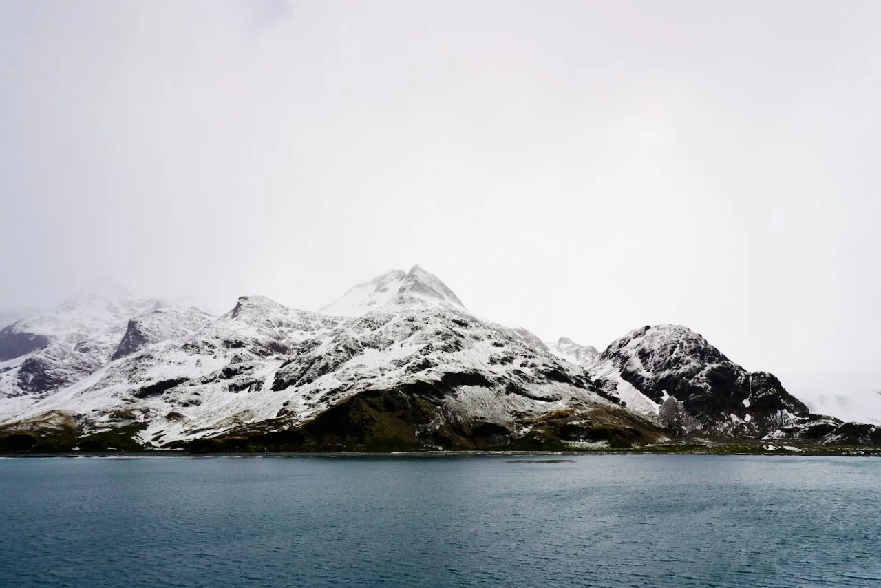 Fortuna Bay South Georgia - 27.jpeg
