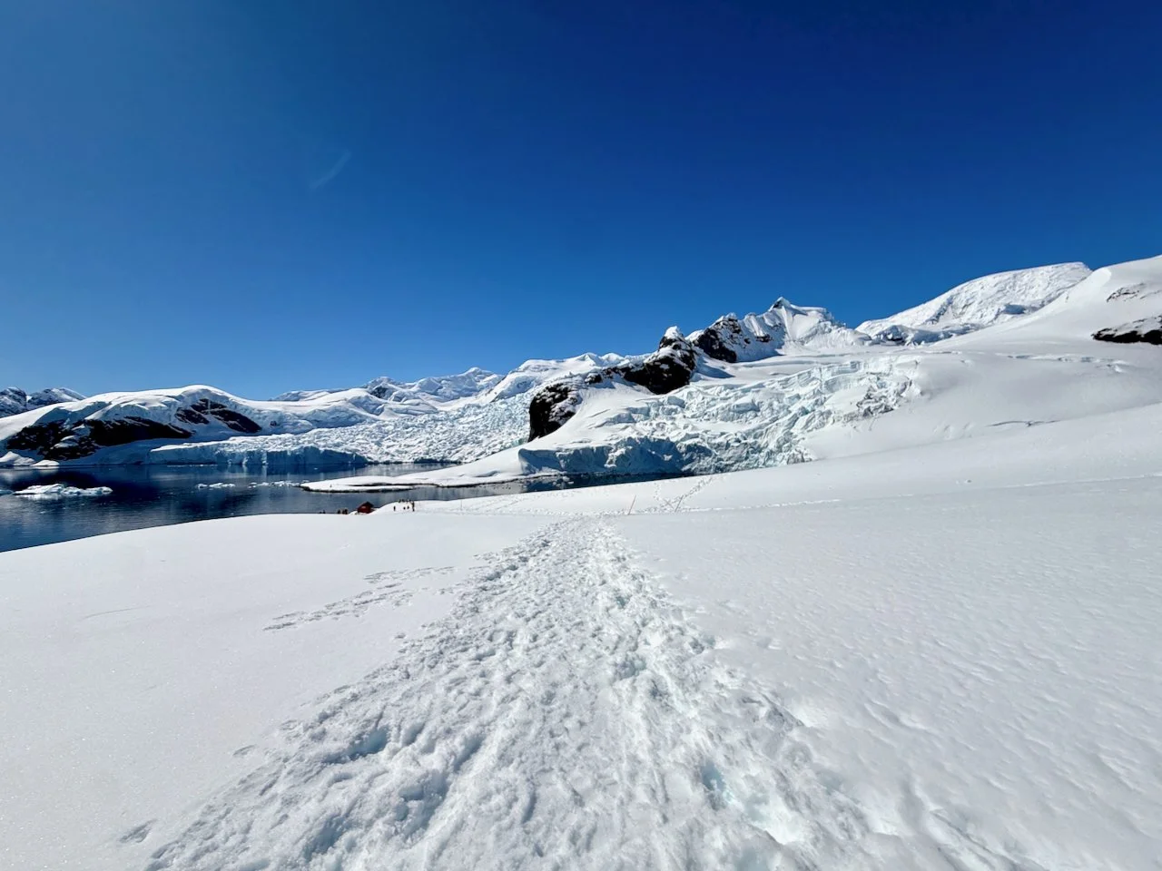 Brown Station Paradise Harbour R2 - 14.jpeg