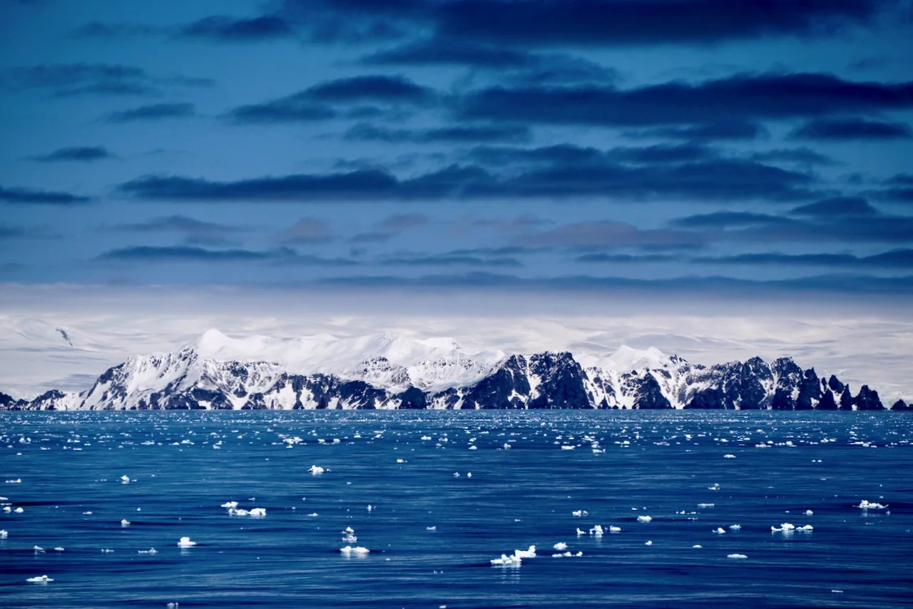 Elephant Island Sea Ice Humpback + Fin Whales - 46.jpeg