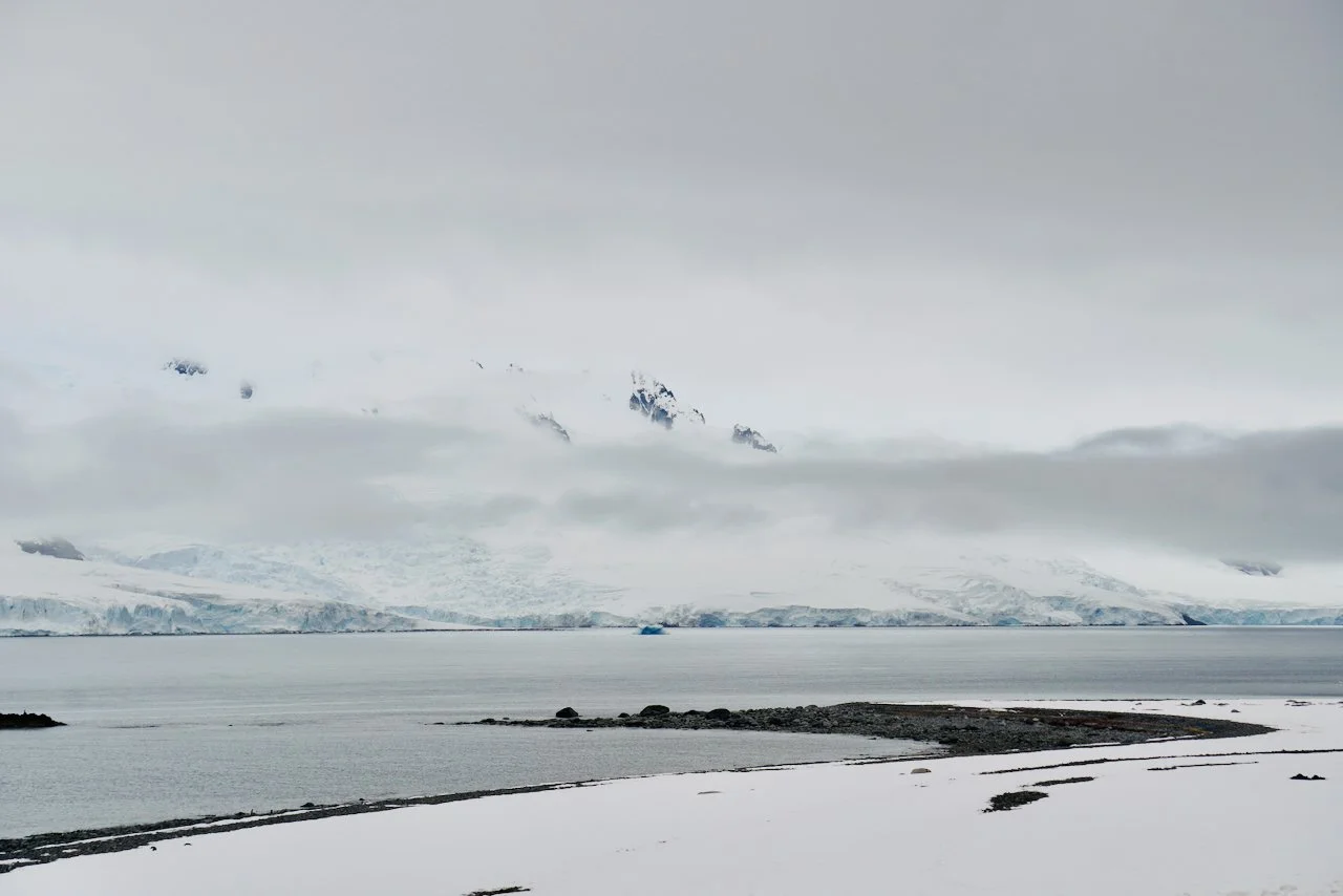 Half Moon Bay Antarctica - 10.jpeg