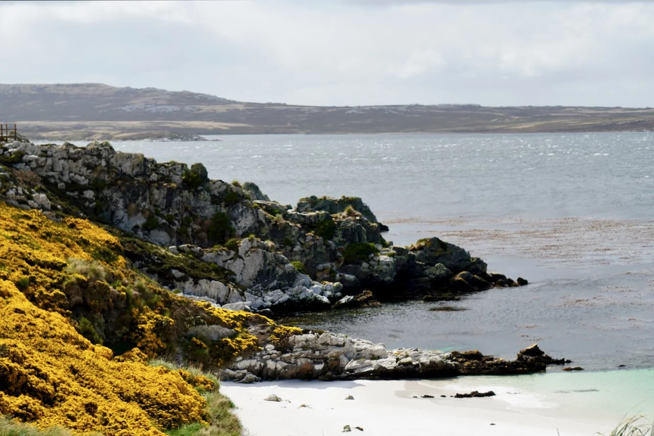 Falklands - 195.jpeg