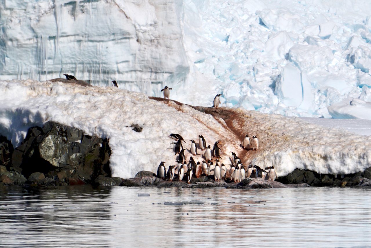 Brown Station Paradise Harbour - 11.jpeg