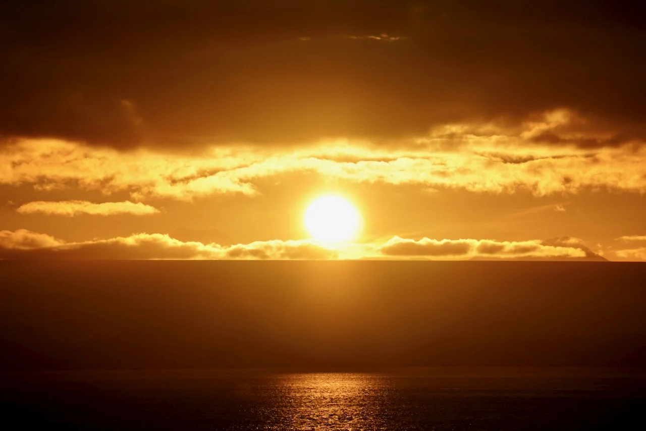 Elephant Island Sea Ice Humpback + Fin Whales - 180.jpeg