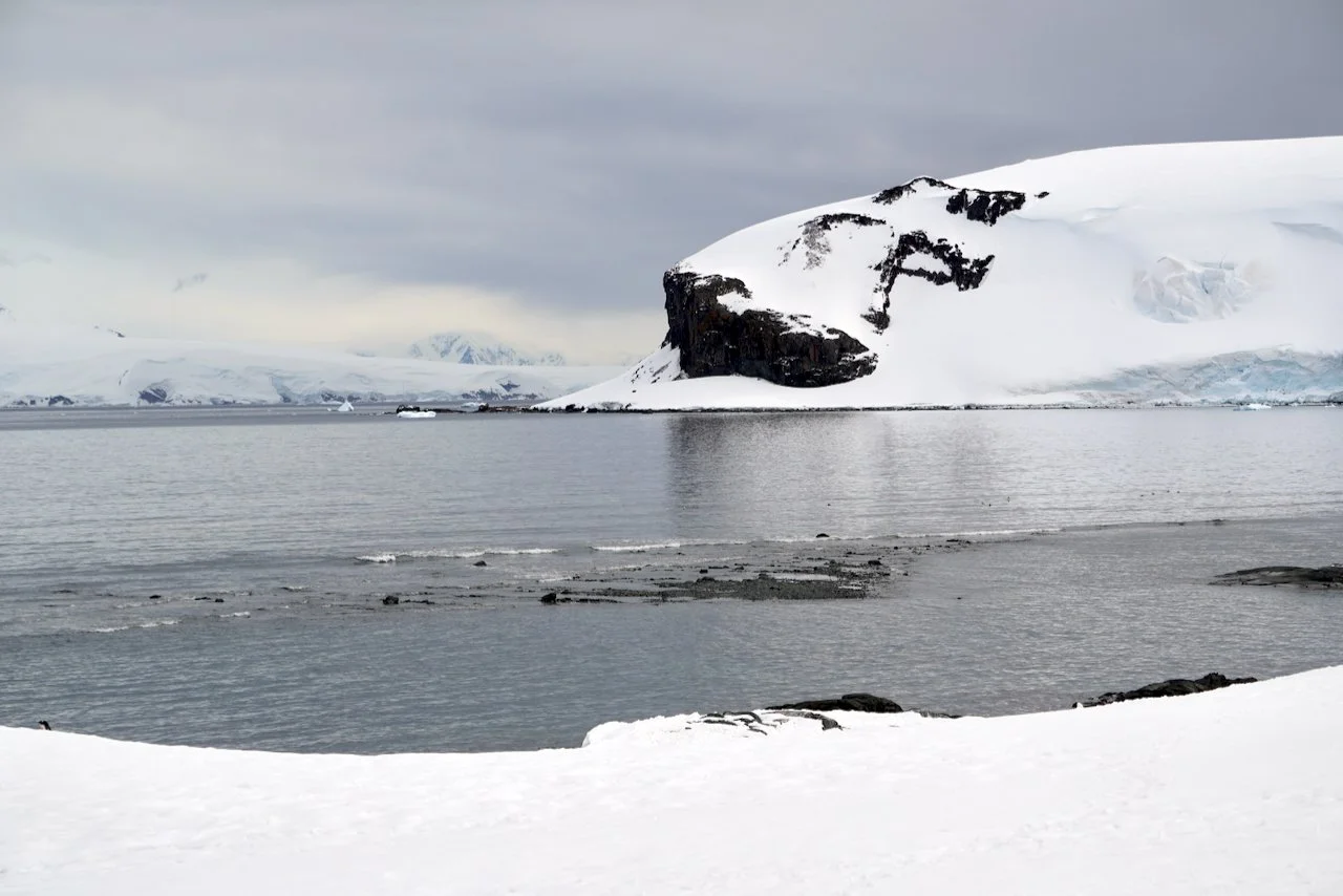 DHainaut Island Mikkelson Harbour - 40.jpeg