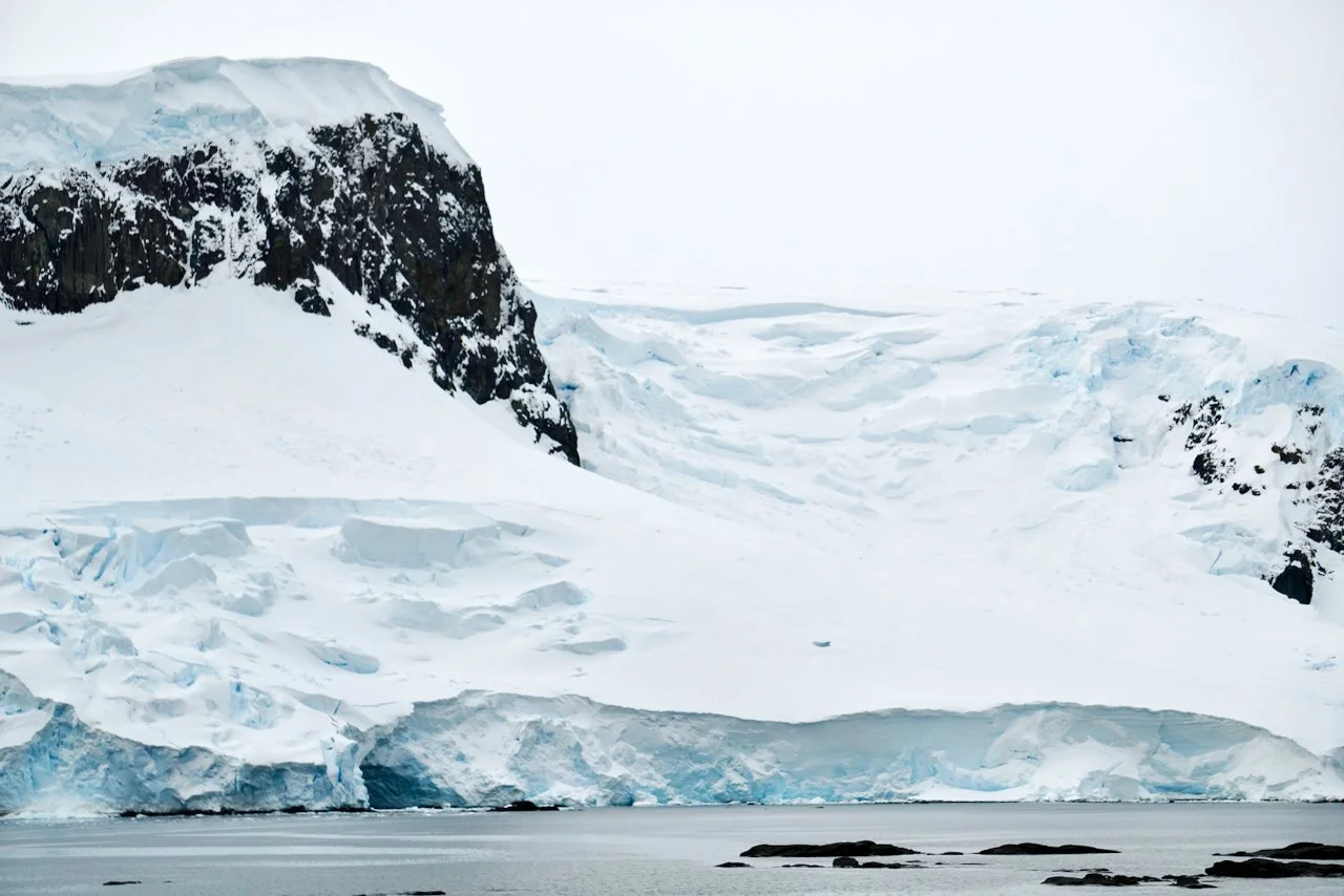 DHainaut Island Mikkelson Harbour - 63.jpeg