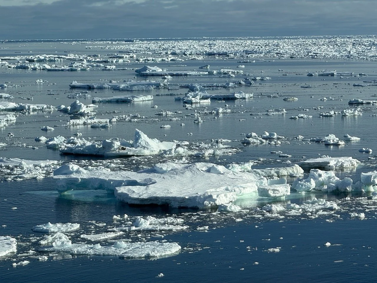 We woke up surrounded by sea ice. 