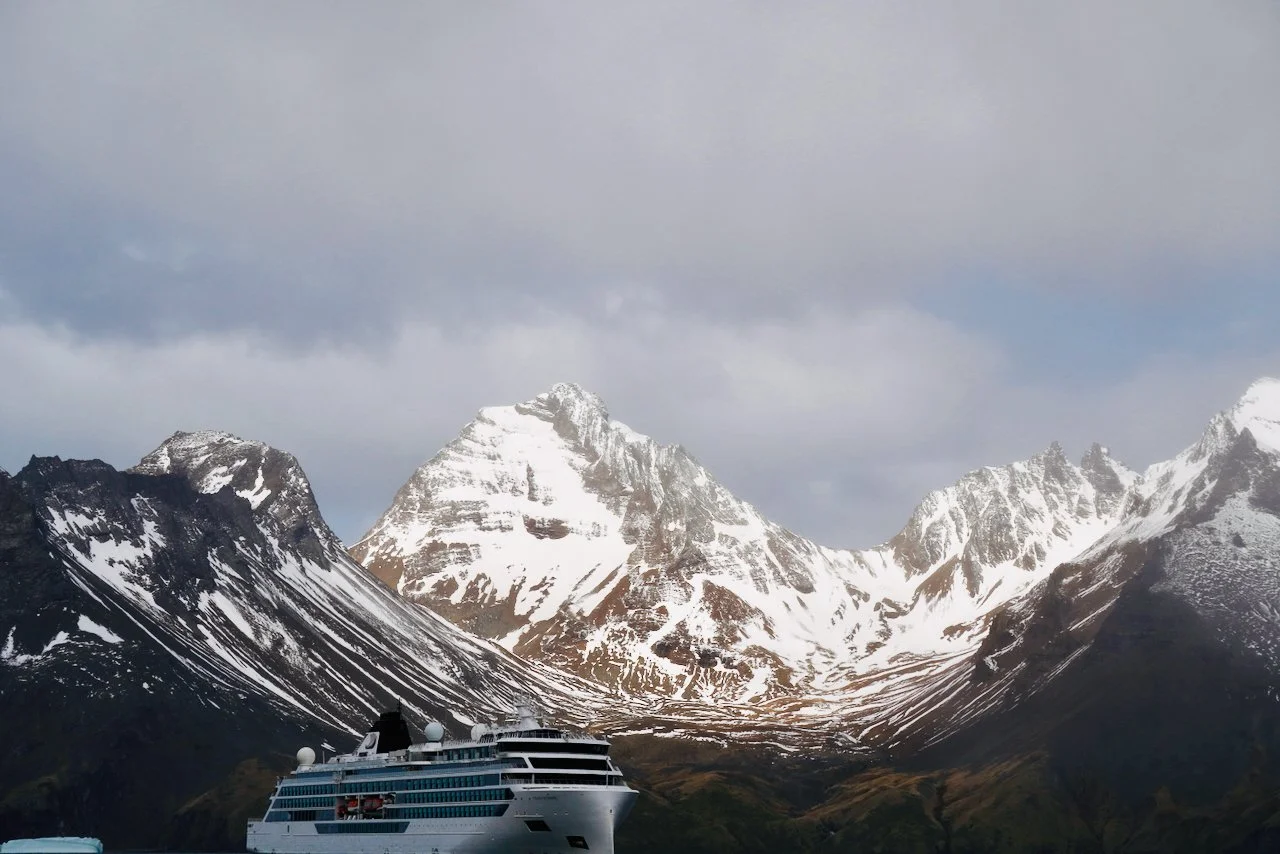 Fortuna Bay South Georgia - 33.jpeg