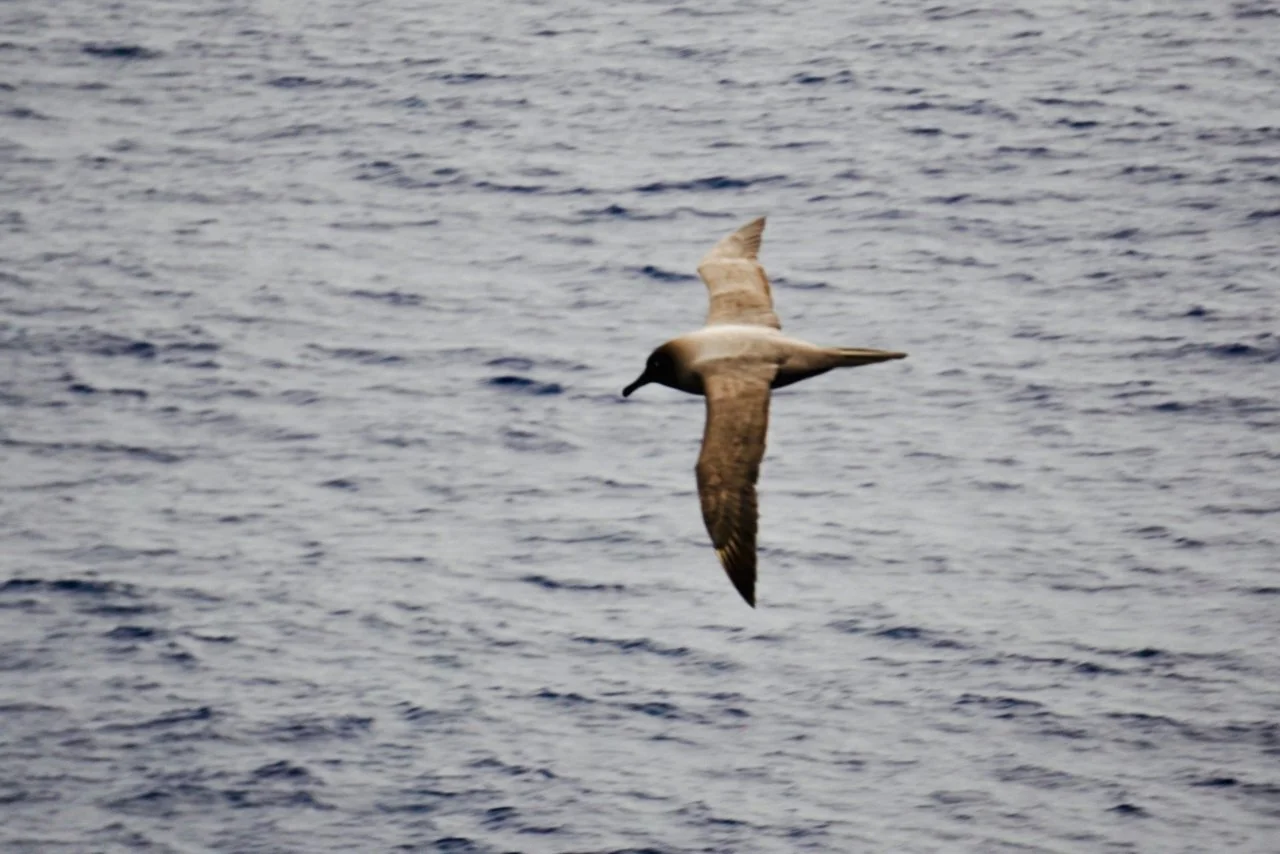 Brown Station Paradise Harbour - 78.jpeg