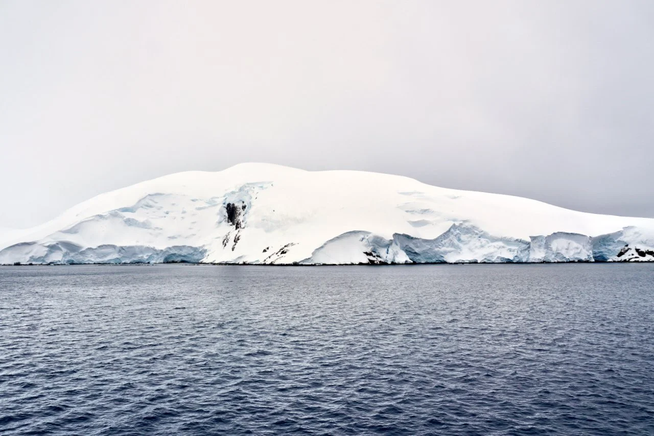 DHainaut Island Mikkelson Harbour - 10.jpeg